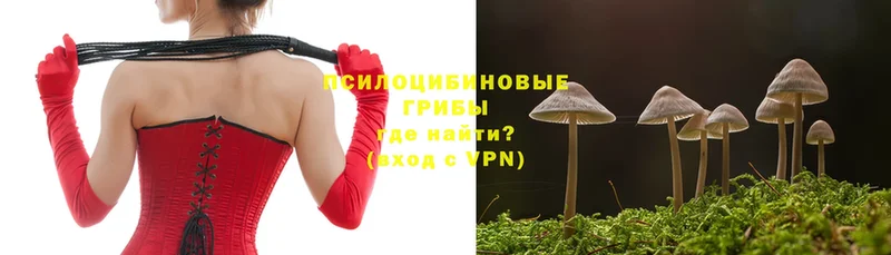 Псилоцибиновые грибы MAGIC MUSHROOMS  купить закладку  Кувандык 